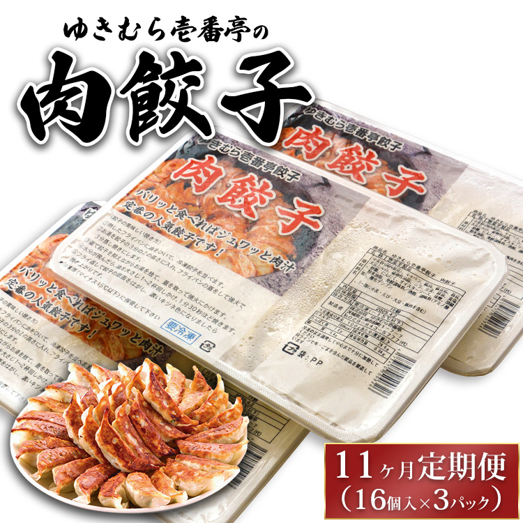 【11ヶ月定期便】ゆきむら壱番亭の肉餃子3パック(48個入り) ※離島への配送不可