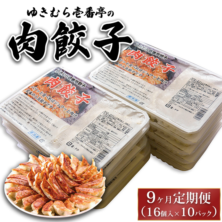 【9ヶ月定期便】ゆきむら壱番亭の肉餃子10パック(160個入り) ※離島への配送不可