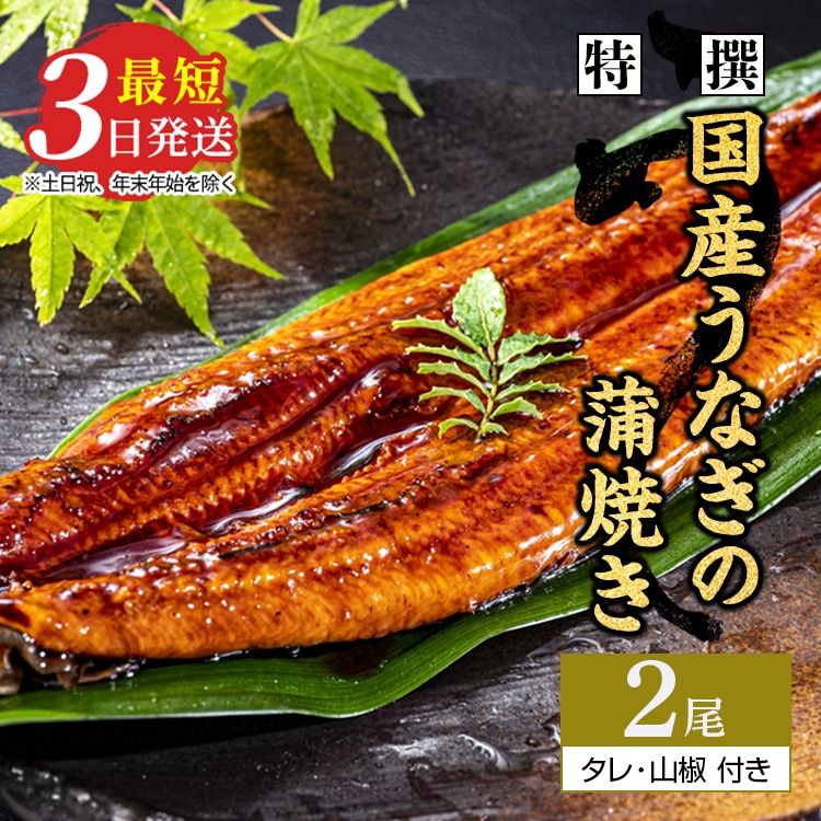 特撰 国産うなぎの蒲焼き2尾【最短3日発送】国産のブランド鰻を茨城県土浦市の職人が手間を惜しまず一つ一つ丁寧に作り上げた美味しい蒲焼きをぜひご賞味ください! ※離島への配送不可