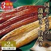 特選 うなぎ蒲焼き2尾＋うなぎ白焼き2尾　計4尾（120g以上×4尾） | メディアに紹介されたうなぎ屋 国産 冷蔵 うなぎ 鰻 ウナギ タレ・山椒つき かば焼き しら焼き ※着日指定不可 ※離島への配送不可