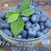 冷凍 最短3日発送 ファーストブラッシュ 1kg(500g×2) ブルーベリー ※離島への配送不可 ※着日指定不可