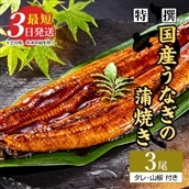 特選 国産うなぎ蒲焼き 3尾(120g以上×3尾) | メディアに紹介されたうなぎ屋 国産 冷蔵 うなぎ 鰻 ウナギ タレ・山椒つき かば焼き ※着日指定不可 ※離島への配送不可