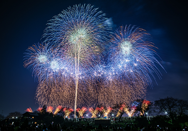 土浦全国花火大会のチケット、桟敷席(4人分)11月5日 公式