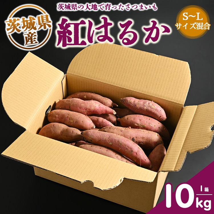 生芋　10kg　S～Lサイズ混合　1箱 いも長 | さつまいも いも 生いも 紅はるか 国産 ※着日指定不可 ※離島への配送不可※2024年11月下旬～2025年9月下旬頃に順次発送予定
