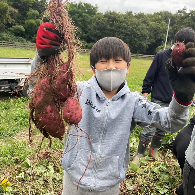 生芋 10kg S～Lサイズ混合 1箱 いも長 | さつまいも いも 生いも