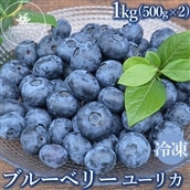 冷凍 最短3日発送 ユーリカ 1kg(500g×2) ブルーベリー ※離島への配送不可 ※着日指定不可