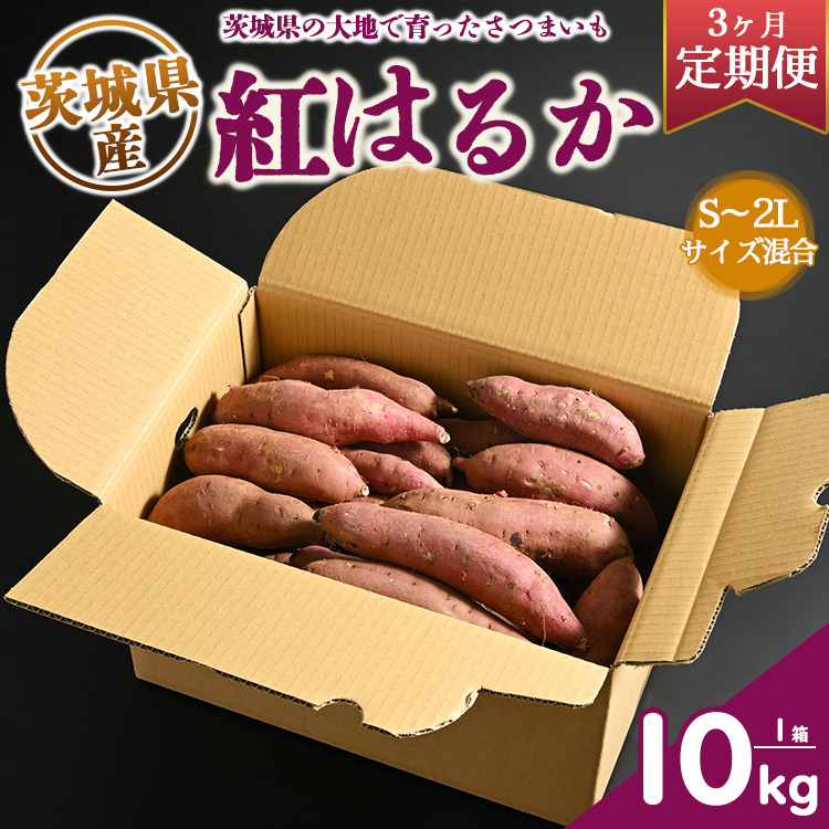 【定期便3ヶ月】生芋 10kg S~2Lサイズ混合 1箱 いも長 | さつまいも いも 生いも 紅はるか 国産 ※着日指定不可 ※離島への配送不可
