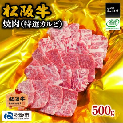 松阪牛 特選カルビ 500g【配送不可地域:離島】【1244837】