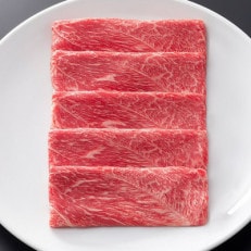 松阪牛すき焼き用(肩・モモ)500g【配送不可地域：離島】【1493985】