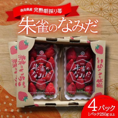 ご自宅用おまかせ便! 朱雀のなみだ (by花水土香) 2箱4p(1p250g以上)クラフト箱×トレー【配送不可地域：離島】【1286860】