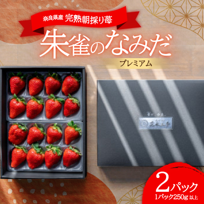 ※糖度11度以上※ 朱雀のなみだ プレミアム (by 花水土香) 完熟朝採り苺(250g以上×2p)【配送不可地域：離島】【1345559】