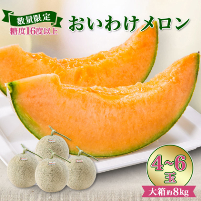 【数量限定】おいわけメロンパック 糖度16度以上 大箱約8kg(4～6玉)【1226767】