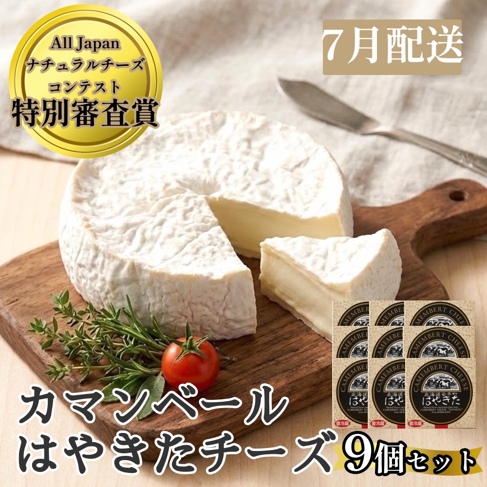 【2027年7月配送】 ＜ご自宅用＞ カマンベールはやきた　9個セット