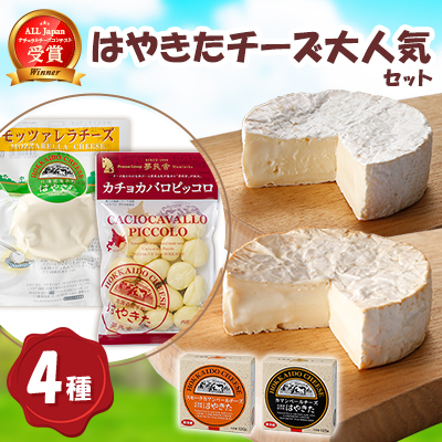 【世界チーズコンテスト受賞】夢民舎はやきたチーズ大人気セット【配送不可地域：離島】【1468533】