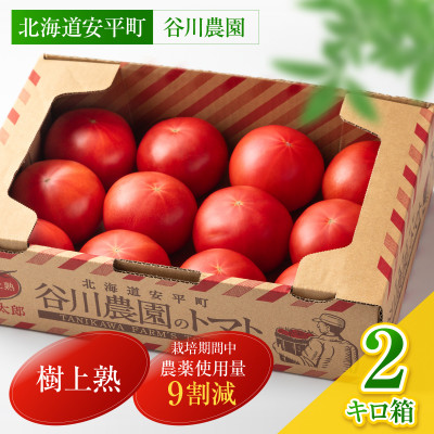 【北海道産】樹上熟3段採り 桃太郎トマト / 正品2kg箱(10~15玉入)【配送不可地域:離島】【1472504】