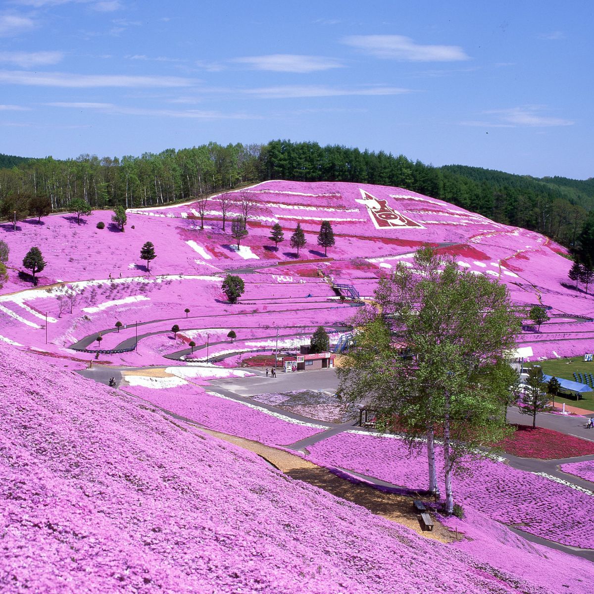 【北海道大空町】旅行割引クーポン券30,000円分 OST003