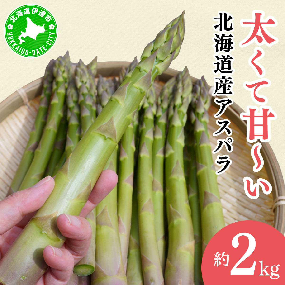 【2026年先行予約】太くてあまーい 北海道産 春芽 アスパラ (約2kg/LL以上中心+3L・L混合 ) 先行予約 新鮮 採れたて直送 旬 野菜 あすぱら 農家直送 北海道  Farm&Firm かたもと 伊達市