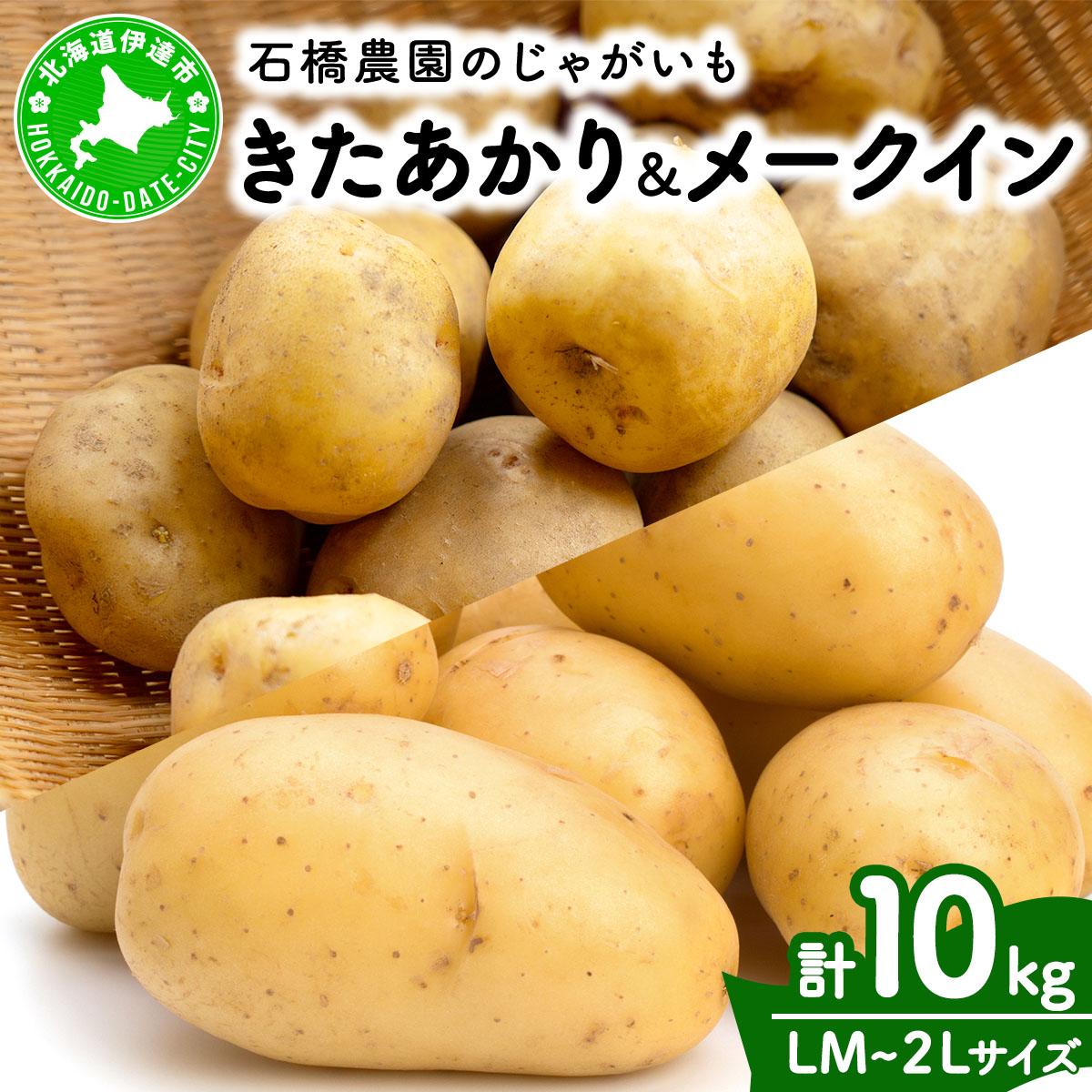 北海道 じゃがいも 2種 きたあかり メークイン 食べ比べ セット 各5kg 計10kg LM~2Lサイズ 先行受付 馬鈴薯 キタアカリ 北あかり メイクイーン ポテト イモ 根菜 農作物【55250518】