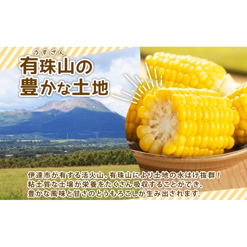 北海道産 とうもろこし 恵味 ゴールドラッシュ 20本 Lサイズ トウモロコシ とうきび コーン スイートコーン 旬 新鮮 朝採り 産地直送 国産  野菜 農作物 甘い めぐみ 人気 BBQ ふじいファーム 送料無料 | 北海道伊達市 | JRE MALLふるさと納税