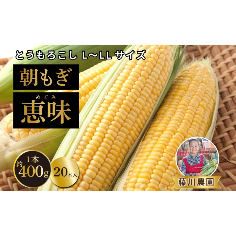 北海道産 朝もぎ とうもろこし 恵味 L-LLサイズ 約400g×20本 スイートコーン ゴールドコーン トウモロコシ とうきび コーン 旬 完熟  野菜 甘い おやつ 産地直送 お取り寄せ 北海道 送料無料 伊達 北海道伊達市 JRE MALLふるさと納税