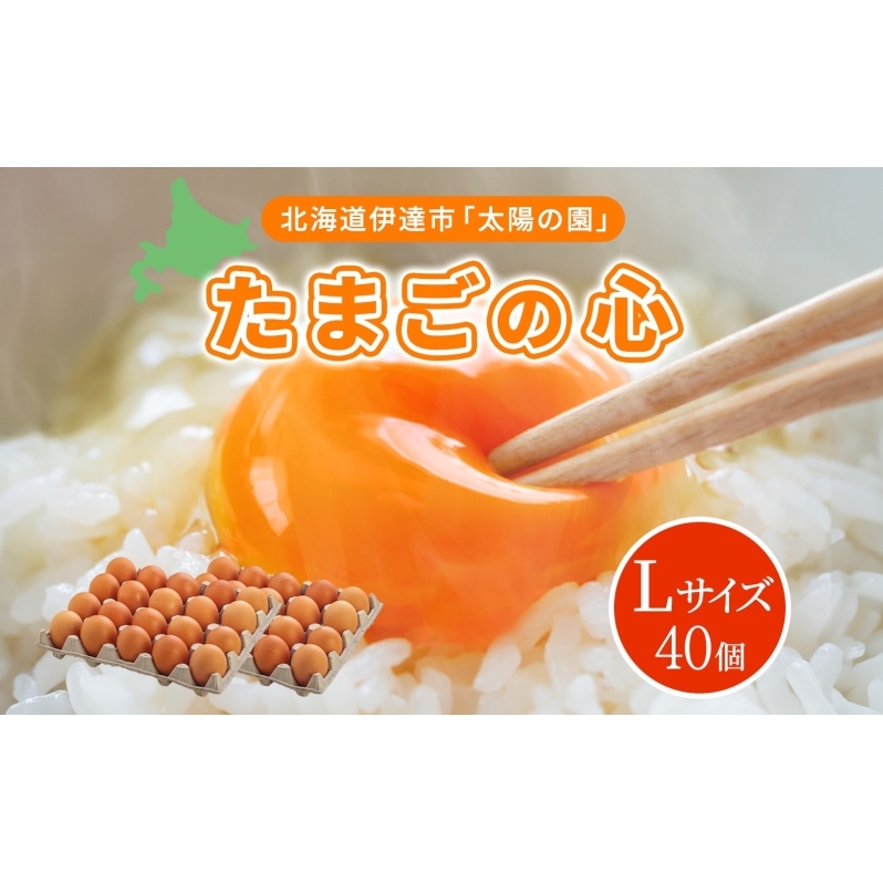 北海道 たまごの心 40個 Lサイズ 太陽の園 平飼たまご 有精卵 たまご 卵 生たまご 鶏卵 北海道産 鶏の卵 ポリスブラウン 食材 卵かけごはん  TKG オムレツ オムライス タンパク質 ゆで卵 よく使う食材 万能食材 【農福連携】 | 北海道伊達市 | JRE MALLふるさと納税