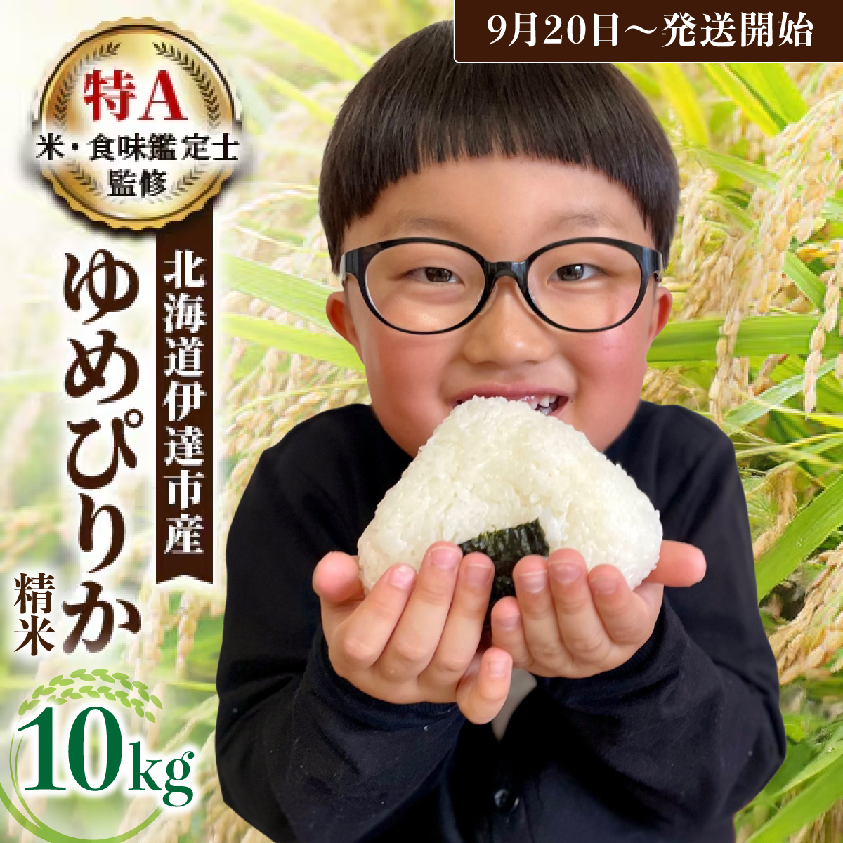 令和7年産 《9月20日発送開始》ゆめぴりか精米 10kg 生産者直送 北海道伊達産 | 北海道のブランド米 もっちり食感 冷めても美味しい【tkk-003】