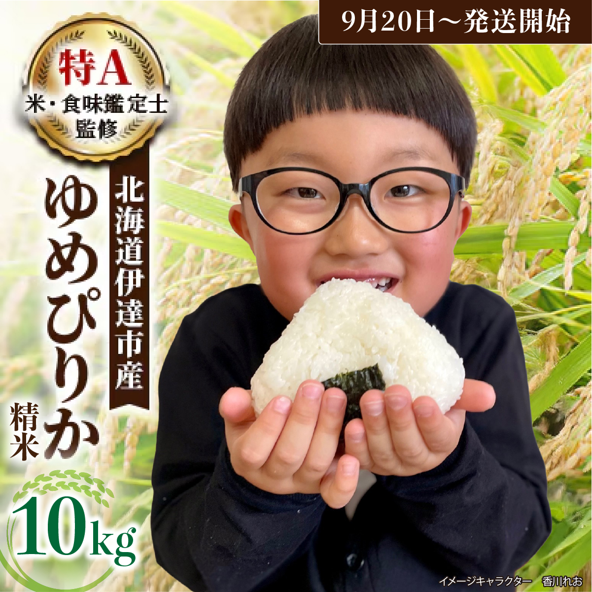 令和7年産 《9月20日発送開始》ゆめぴりか精米 10kg 生産者直送 北海道伊達産 | 北海道のブランド米 もっちり食感 冷めても美味しい【tkk-003_02】