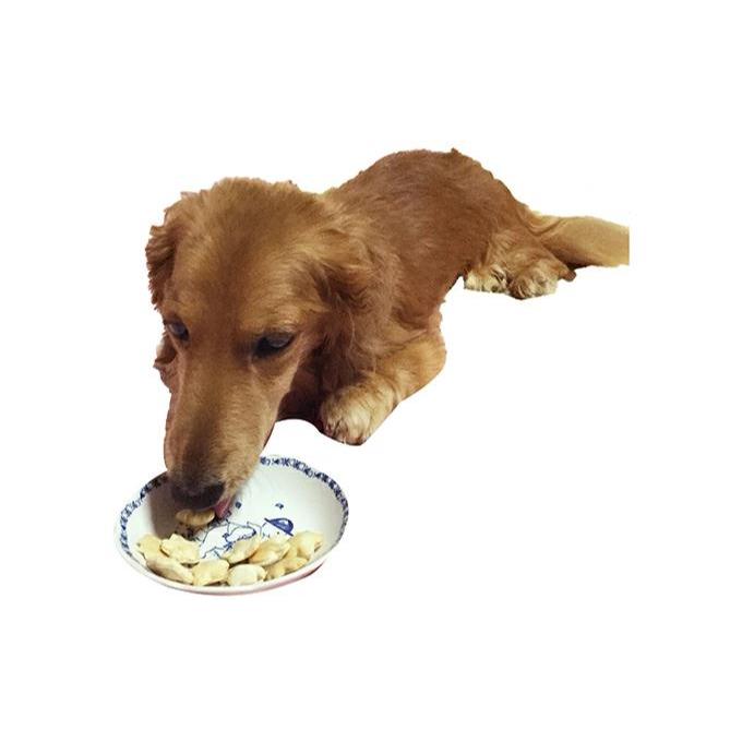 【手作り】 犬のクッキー 鹿肉 3袋セット 犬のおやつ ペット 北海道 伊達市 【農福連携】【55250862】