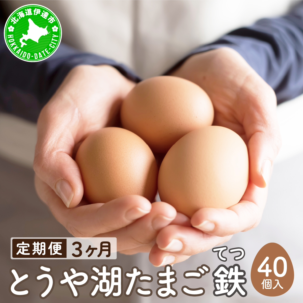 【3ヵ月 定期便】 北海道 伊達市 とうや湖 卵 鉄  40個 入り たまご【55250921】