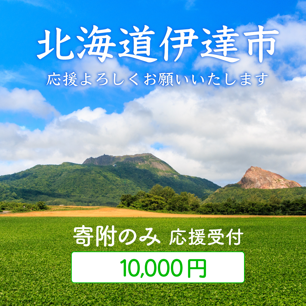 伊達市 寄附のみ 応援受付 10,000円コース（返礼品なし 寄附のみ 10000円）【55250996】