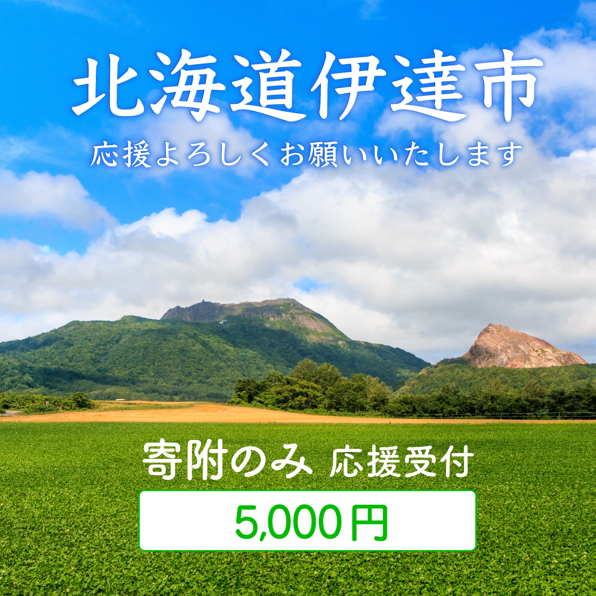 伊達市 寄附のみ 応援受付 5,000円コース（返礼品なし 寄附のみ 5000円）【55250997】