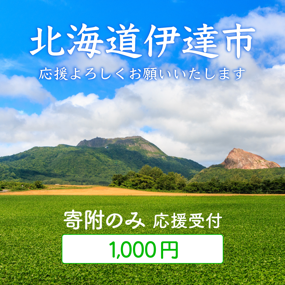 伊達市 寄附のみ 応援受付 1,000円コース（返礼品なし 寄附のみ 1000円）【55251000】