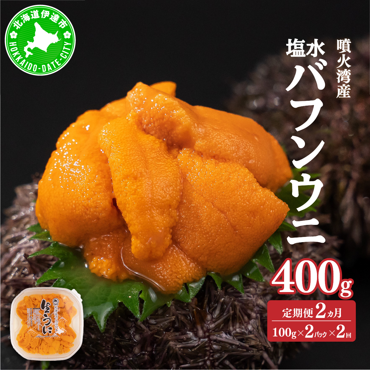 【定期便2カ月】北海道 噴火湾産 塩水 バフンウニ 100g 2パック うに ウニ 雲丹 海鮮 海の幸 魚介類 ウニ丼 お寿司 濃厚 無添加 産地直送 産直 お取り寄せ 山村水産 送料無料【55250990】