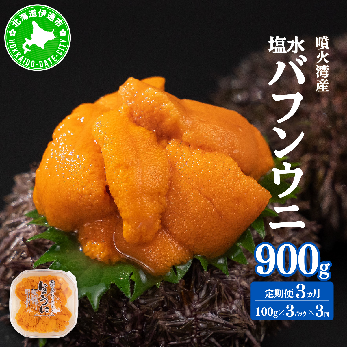 【定期便3カ月】北海道 噴火湾産 塩水 バフンウニ 100g 3パック うに ウニ 雲丹 海鮮 海の幸 魚介類 ウニ丼 お寿司 濃厚 無添加 産地直送 産直 お取り寄せ 山村水産 送料無料【55250994】