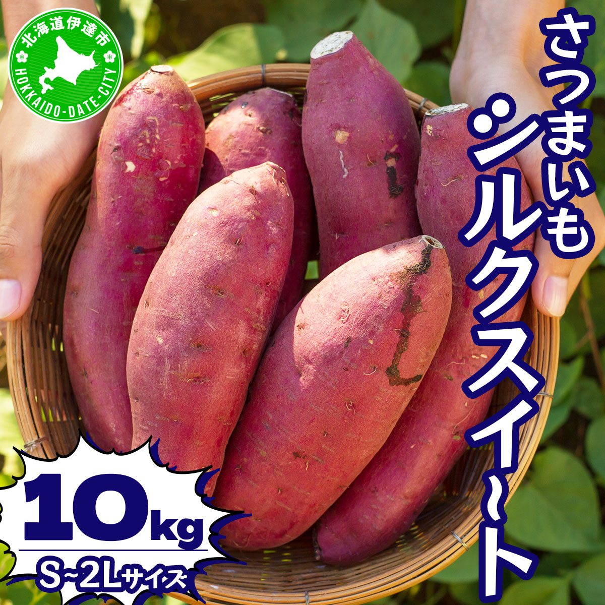 北海道 伊達 さつまいも シルクスイート 10kg 熟成 高糖度 サツマイモ 芋 甘い スイートヤバ芋 産地直送【55251151】