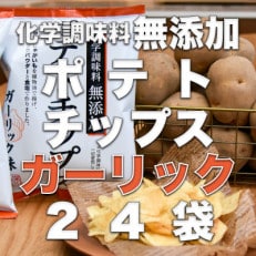 化学調味料無添加ポテトチップス　ガーリック味(55g×24袋)【1380790】