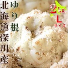 【令和7年産先行受付】北海道深川市産　ゆり根(Lサイズ)　2kg【1304890】
