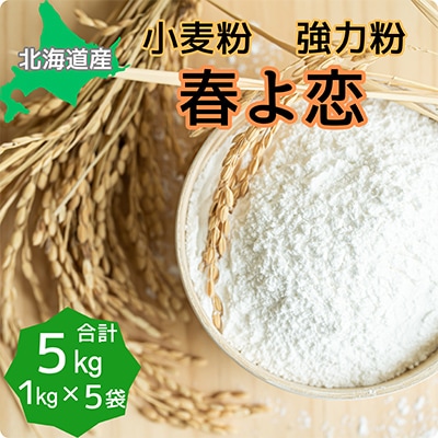 北海道産小麦　春よ恋　強力粉　5kg (1kg×5袋)【1338440】