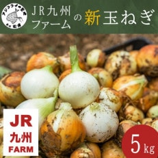 JR九州ファームの新玉ねぎ 5kg【1578340】