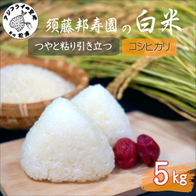 須藤邦寿園の白米 コシヒカリ 5kg【1659255】