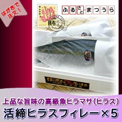 お届けオーダーメイド!活締ヒラスフィレー×5【1663462】