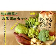 道の駅松浦海のふるさと館『旬のお野菜+お米5kg』の大満足セット!【配送不可地域:離島】【1487568】