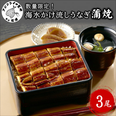 数量限定!海水かけ流しうなぎ蒲焼3尾【配送不可地域:離島】【1250787】