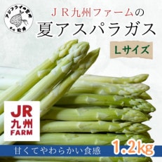 JR九州ファームの夏アスパラガス　Lサイズ1.2kg【配送不可地域：離島】【1436452】