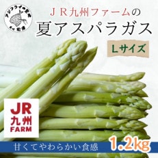 JR九州ファームの夏アスパラガス Lサイズ1.2kg[配送不可地域:離島]