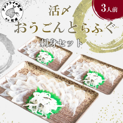活〆おうごんとらふぐ刺身3人前セット【配送不可地域:離島】【1219242】