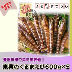 お届けオーダーメイド!東興のくるまえび600g×5回【配送不可地域：離島・沖縄】【1342665】