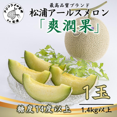 高貴で芳醇な香りと濃厚でとろける甘みの  松浦アールスメロン「爽潤果(そうじゅんか)」1玉【1417934】