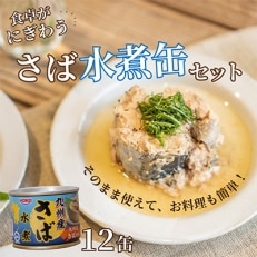 さば水煮缶セット(12缶)【配送不可地域:離島】【1103106】