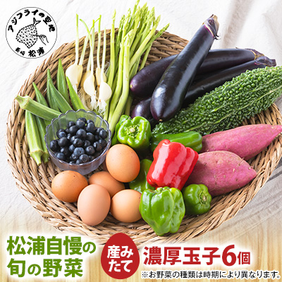 道の駅松浦海のふるさと館「旬のお野菜+産みたて濃厚玉子6個」の大満足セット!【配送不可地域：離島】【1003238】
